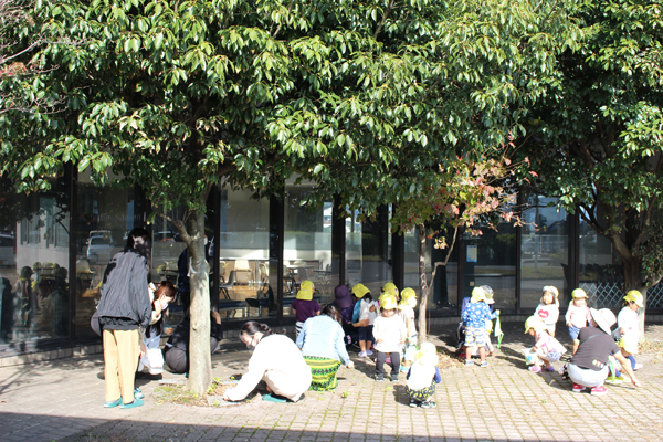 伊波野保育園児どんぐり拾い